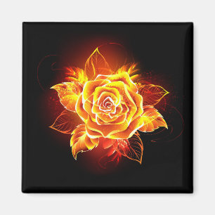 Blooming Fire Rose Magnet