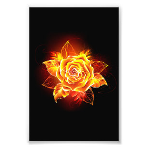 Blooming Fire Rose Photo Print