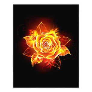 Blooming Fire Rose Photo Print
