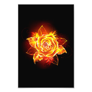 Blooming Fire Rose Photo Print