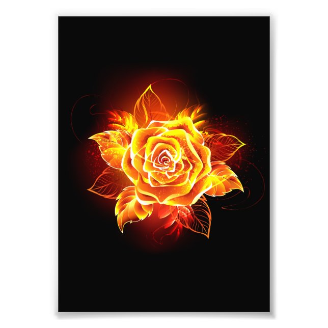 Blooming Fire Rose Photo Print (Front)