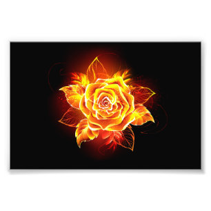 Blooming Fire Rose Photo Print