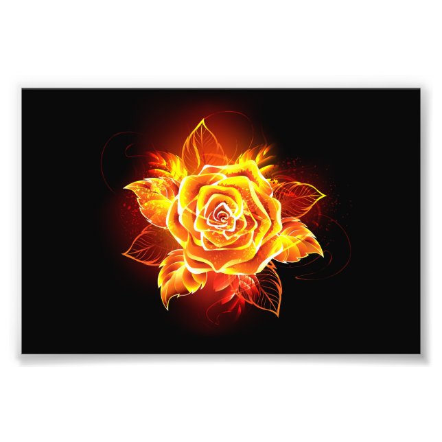 Blooming Fire Rose Photo Print (Front)