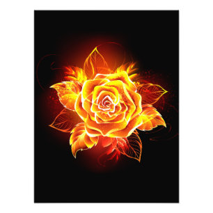 Blooming Fire Rose Photo Print