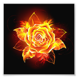 Blooming Fire Rose Photo Print