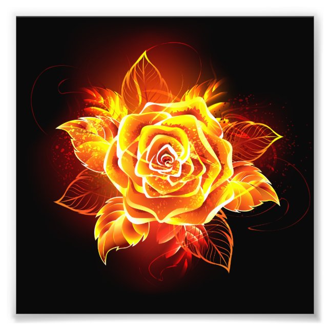 Blooming Fire Rose Photo Print (Front)