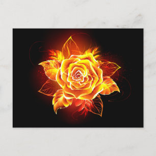 Blooming Fire Rose Postcard