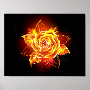 Blooming Fire Rose Poster