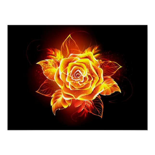 Blooming Fire Rose Poster (Front)