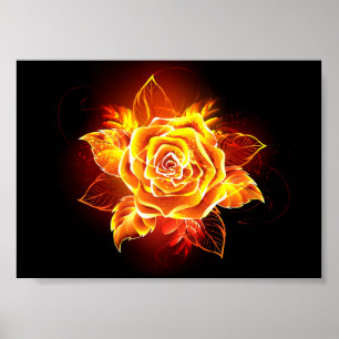 Blooming Fire Rose Poster