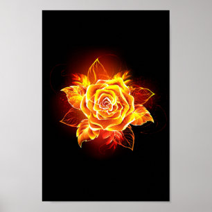 Blooming Fire Rose Poster