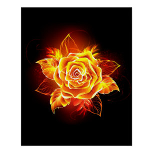 Blooming Fire Rose Poster
