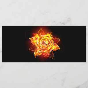 Blooming Fire Rose Program