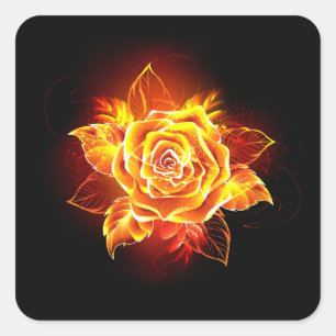 Blooming Fire Rose Square Sticker