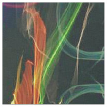 Blooming Fireworks Folk Art