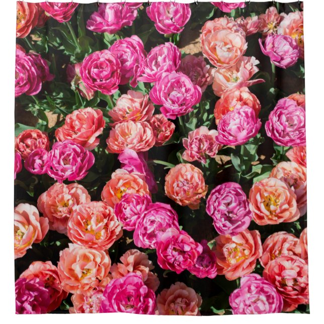 Blooming flowers make a floral background texture (Front)