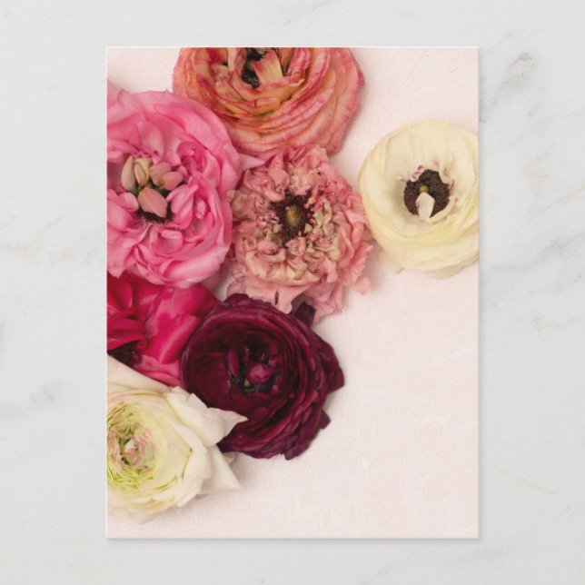 Blooming flowers postcard (Front)