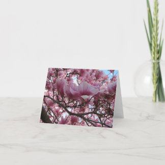 Blooming Fuchsia Magnolia Note Card