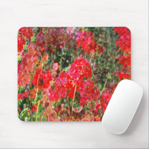 Blooming Geraniums..... Mouse Pad