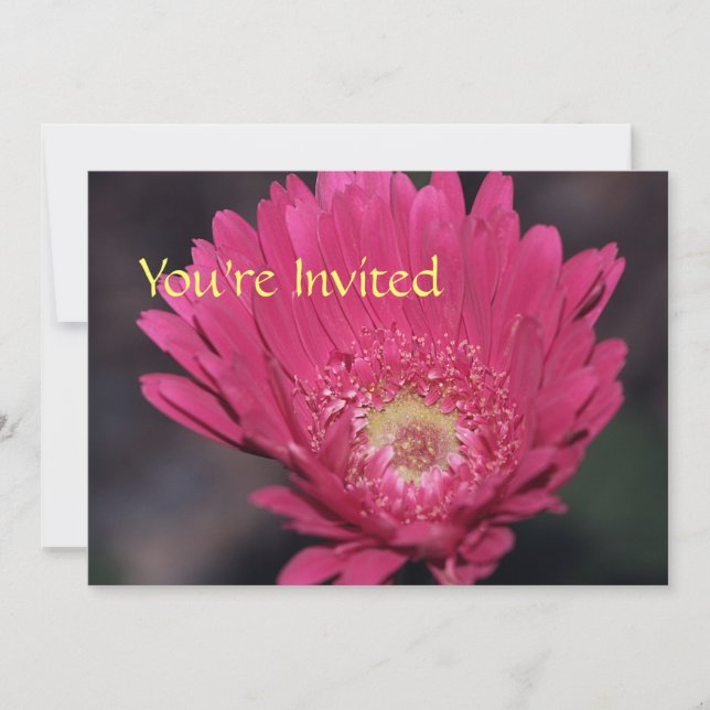 Blooming Gerbera Invitation (Front)