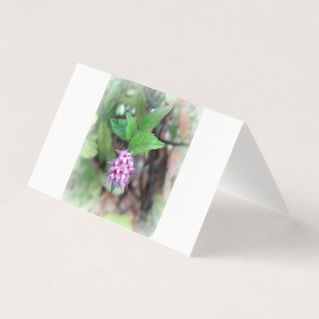 Blooming in autumn (Front)