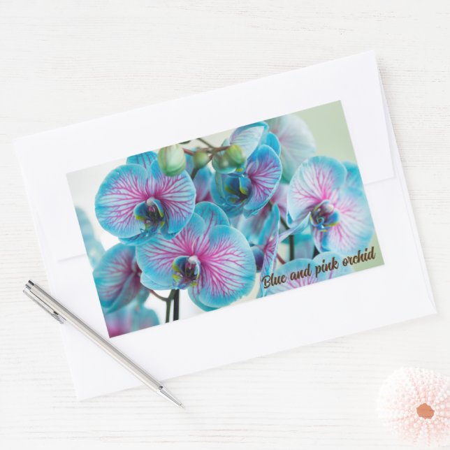 Blooming isolated on a white background sticker (Envelope)