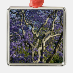 Blooming Jacaranda Trees in New Farm Park, 2 Metal Ornament