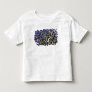 Blooming Jacaranda Trees in New Farm Park, 2 Toddler T-shirt