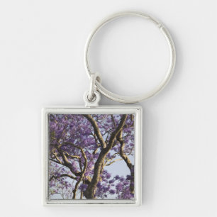 Blooming Jacaranda Trees in New Farm Park, Keychain