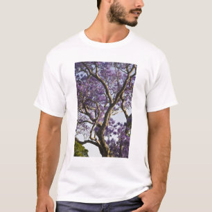 Blooming Jacaranda Trees in New Farm Park, T-Shirt