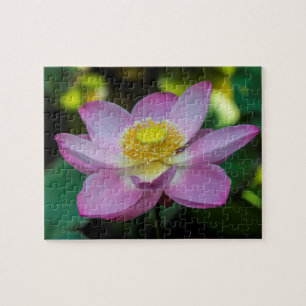 Blooming lotus flower, Indonesia Jigsaw Puzzle