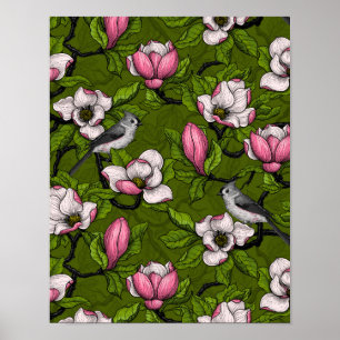 Blooming magnolia and titmouse bird poster