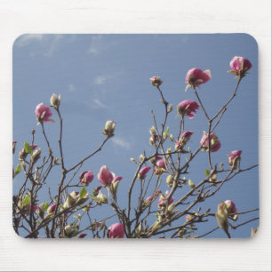 Blooming Magnolia Mousepad