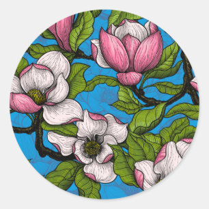 Blooming magnolia on blue classic round sticker