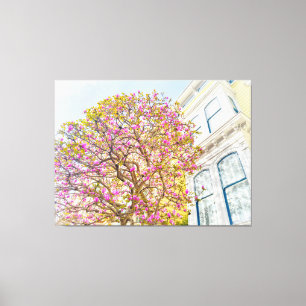 Blooming Magnolia Tree by Victorian House Canvas Print