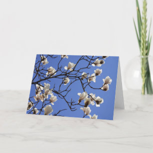 Blooming Magnolias Card