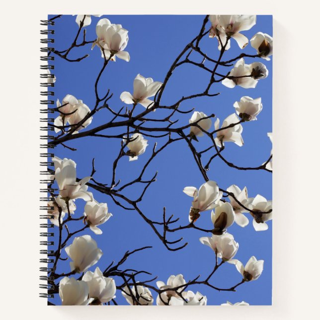 Blooming Magnolias Notebook (Front)