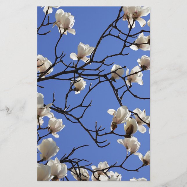 Blooming Magnolias Stationery (Front)