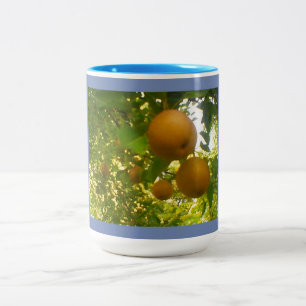 Blooming Pears Two-Tone Coffee Mug