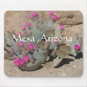 Blooming pink cactus flowers in Mesa, Arizona Mouse Pad