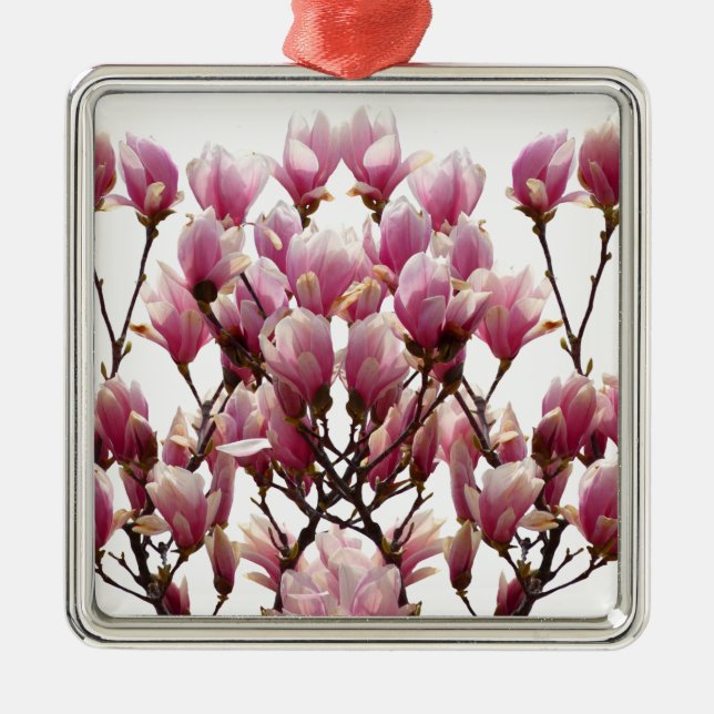 Blooming Pink Magnolias Spring Flower Metal Ornament (Front)
