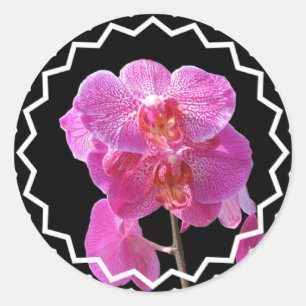 Blooming Pink Orchids Sticker