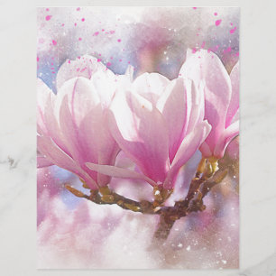 Blooming Pink Purple Magnolia - Spring Flower