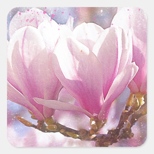Blooming Pink Purple Magnolia - Spring Flower Square Sticker (Front)