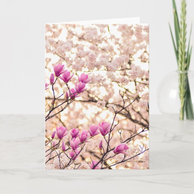 Blooming Pink Purple Magnolias Spring Flower Card (Front)