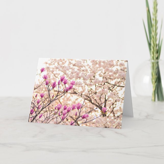 Blooming Pink Purple Magnolias Spring Flower Card (Front)