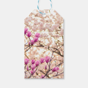 Blooming Pink Purple Magnolias Spring Flower Gift Tags