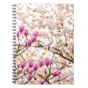 Blooming Pink Purple Magnolias Spring Flower Notebook