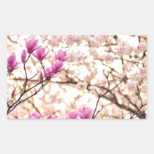 Blooming Pink Purple Magnolias Spring Flower Sticker
