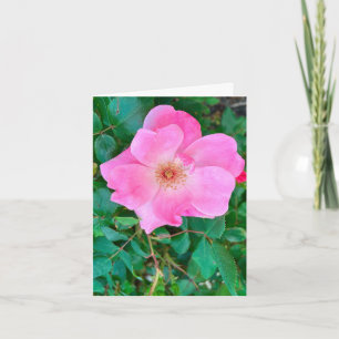 Blooming Pink Rose Flower Birthday Greeting Card